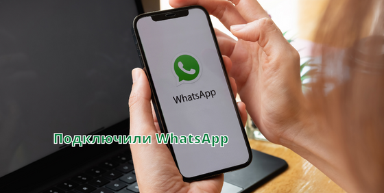 Подключили WhatsApp